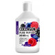 Collagen 200 000 Sporter (500 мл)