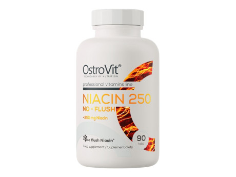Niacin 250 NO-FLUSH OstroVit (90 таблеток)