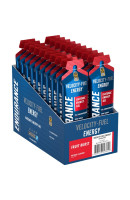 GEL ENDURANCE ENERGY Applied (20шт по 60г)