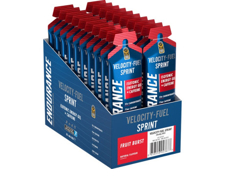 GEL ENDURANCE SPRINT Applied (20шт по 60г)
