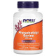 Phosphatidyl Serine 100мг NOW (120 вег капсул)
