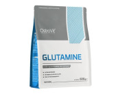 L-Glutamine Ostrovit 500г