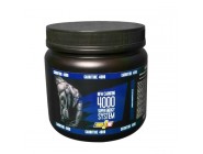 CARNITINE POWER PRO 4000 вкус лимон 500г