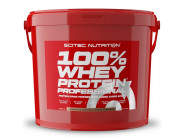 100% Whey Protein PROF 920г