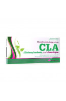 CLA+Green Tea+L-carnitine Olimp (60 капсул)