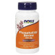 Phosphatidyl Serine 100 мг NOW (60 вег капсул)