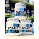 ВСАА Flesh Progress Nutrition (300 грамм)