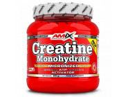 Creatine Monohydrate Amix (300 грамм)