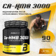 СА-НМВ 3000 BioTech USA (270 грамм)