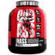 BAD ASS Mass 3кг